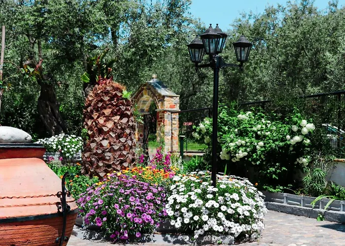 Lefteris לפוקסטרו